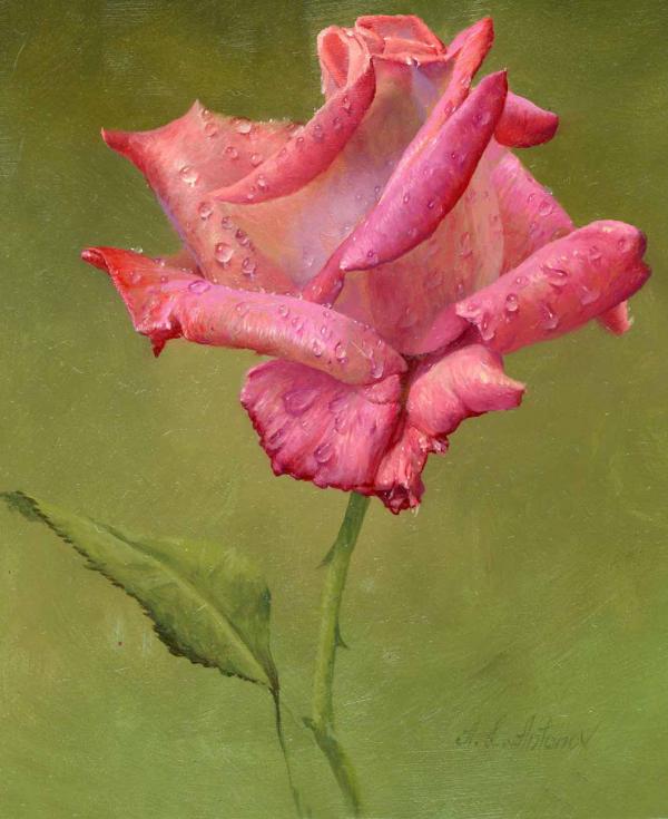 Nghệ thuật vẽ tranh hoa hồng tuyệt vời của Alexei Antonov