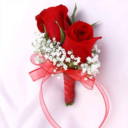 Hãy cùng chiêm ngưỡng vẻ đẹp và quyến rũ của hoa hồng đỏ. Đây là loài hoa biểu tượng của sự tình yêu và sự trân trọng, vì vậy bạn sẽ không thể rời mắt khỏi hình ảnh này.