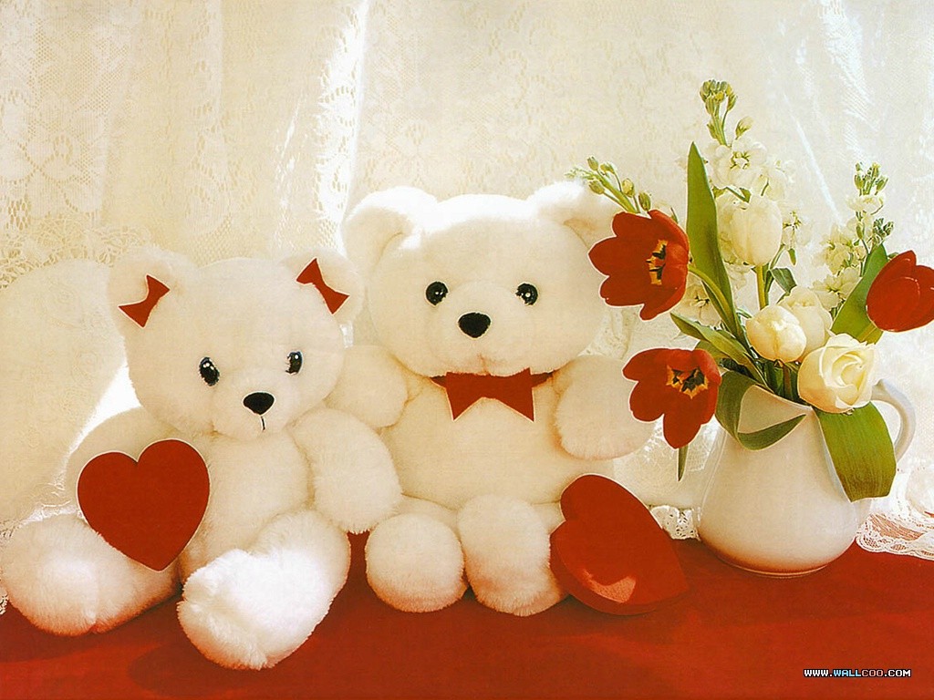 Top 999 hình ảnh gấu bông to đẹp dễ thương cute triệu người thích
