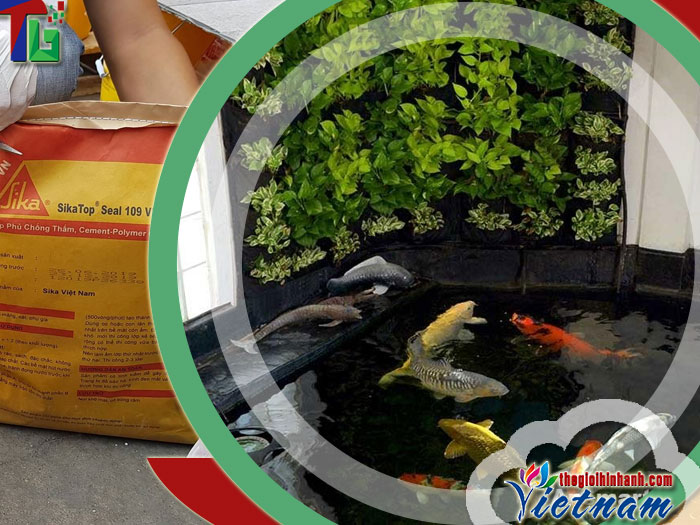Sơn chống thấm hồ cá Sika có phù hợp với bể thủy sinh không?