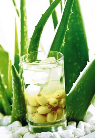 Cách nấu chè nha đam hạt sen ngon - hình ảnh