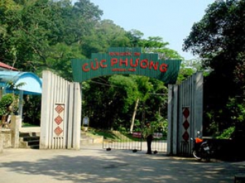 Đến Vườn Quốc Gia Cúc Phương Ninh Bình chơi gì? - hình ảnh
