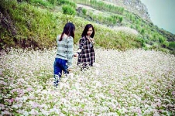 Kinh nghiệm đi du lịch Hà Giang - hình ảnh