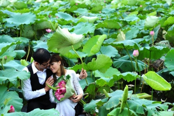 Khu du lịch Đồng Sen Tháp Mười có gì đẹp - hình ảnh