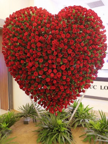 Ảnh hoa hồng tình yêu đẹp nhất - hình ảnh