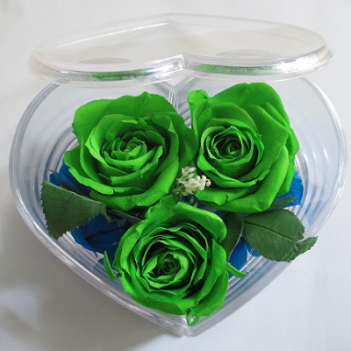 Những ảnh hoa hồng đẹp nhất - hình ảnh