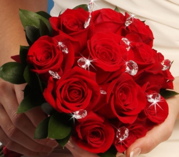 Ảnh hoa hồng đỏ đẹp nhất - hình ảnh