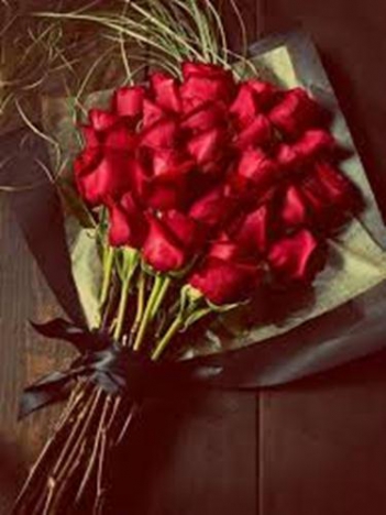 Hoa hồng màu đỏ quyến rũ - hình ảnh