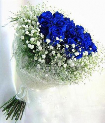 Hoa hồng màu xanh hy vọng - hình ảnh