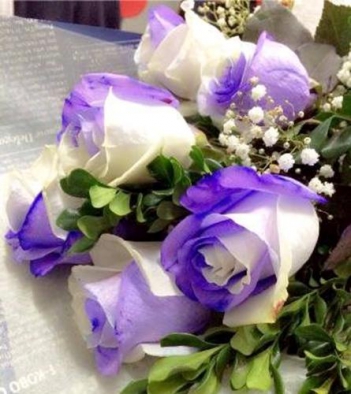 Hoa hồng tặng vợ ý nghĩa - hình ảnh