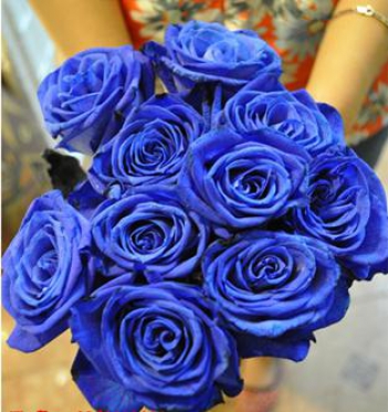Ý nghĩa của hoa hồng xanh - hình ảnh