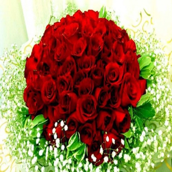 Ý nghĩa màu sắc của hoa hồng - hình ảnh