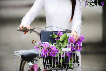 Ý nghĩa hoa bằng lăng tím học trò - hình ảnh