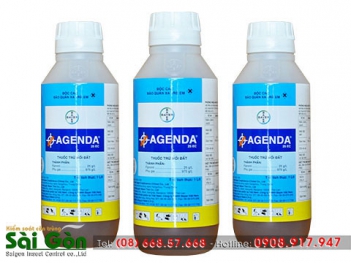 Ảnh hưởng của mối đến công trình và cách ngăn chặn - hình ảnh
