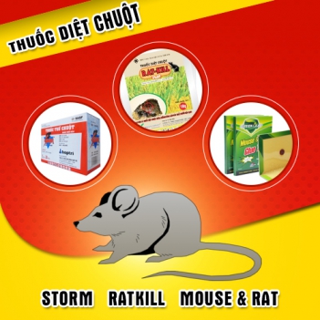 Xử lý xác chuột sau khi dùng thuốc - hình ảnh