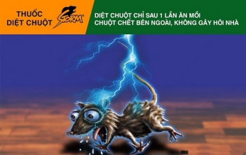 Vì sao thuốc diệt chuột Storm ngày càng được tin dùng? - hình ảnh