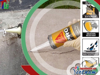 Hướng dẫn sử dụng Sikaflex Construction chống thấm đúng kỹ thuật